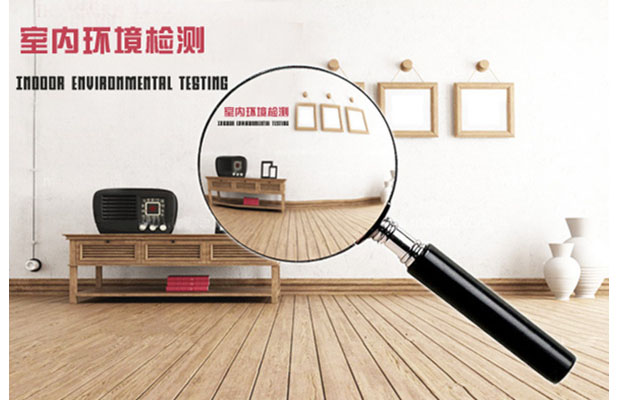 室內環(huán)境檢測TVOC+苯專(zhuān)用氣相色譜儀